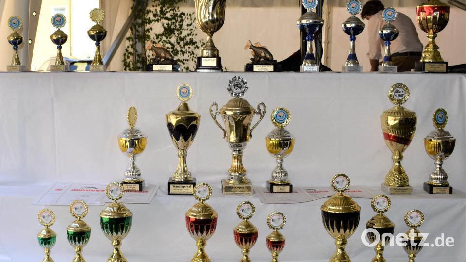 Die besten Angler erhielten Pokale. Bild: rgr
