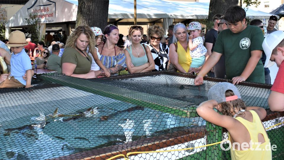 Das Fischbecken war umringt. Bild: rgr
