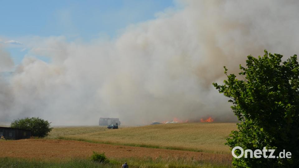 Rasend schnell fraßen sich die Flammen durch das trockene Getreidefeld. Bild: dob