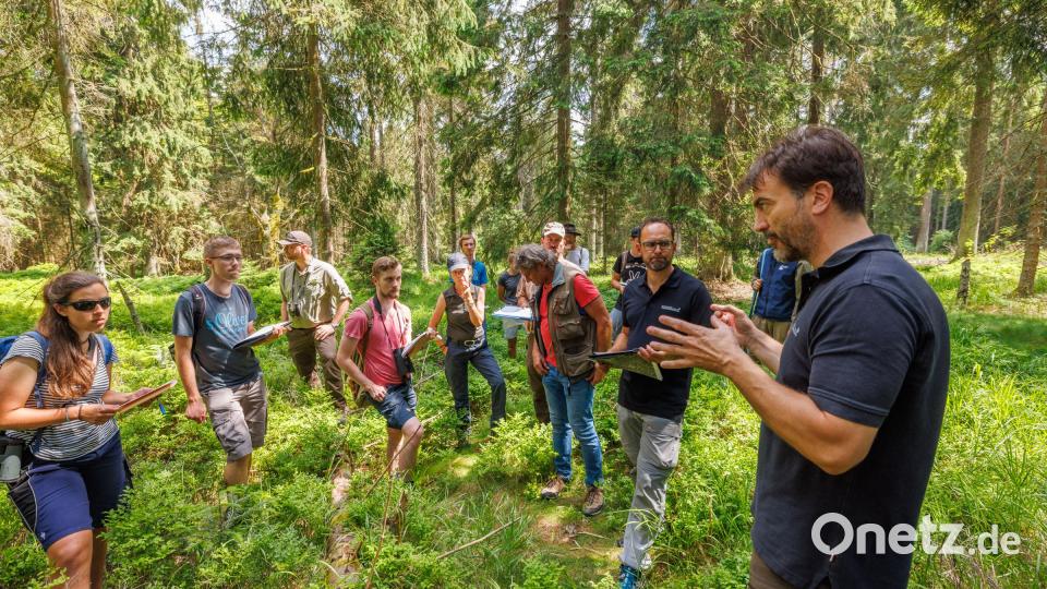 Martin Lauterbach und Boris Mittermeier (rechts), Auerhuhn-Spezialisten bei der Landesanstalt für Wald und Forstwirtschaft in Freising, erkunden mit den angehenden Kartierern ein Waldstück am Ochsenkopf. Bild: Martin Hertel/exb