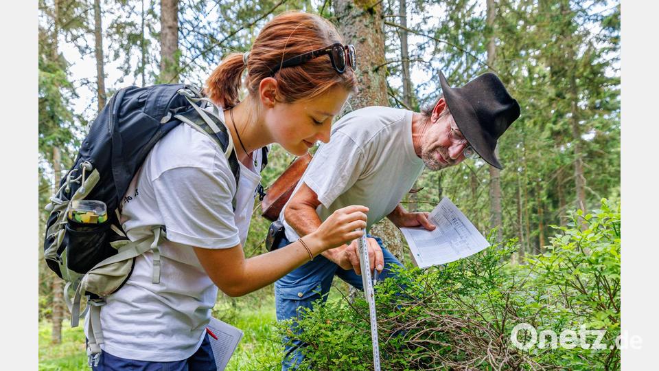 Dem Auerhahn auf der Spur: Lea Eckert und Andreas von Heßberg untersuchen bei einem bayernweiten Auerhuhn-Monitoringprojekt einen Lebensraum am Ochsenkopf Bild: Martin Hertel/exb