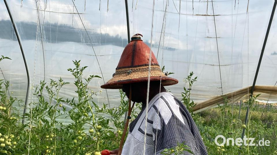 Der Tomatenanbau hatte es dem König von Bassar besonders angetan. Bild: aks