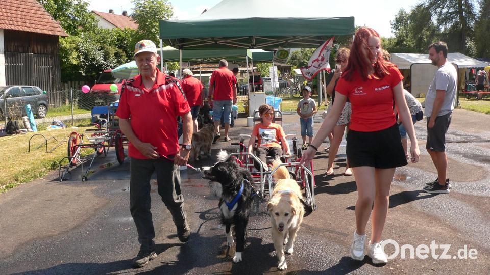 In der Hundekutsche geht es um das Gelände. Bild: mh