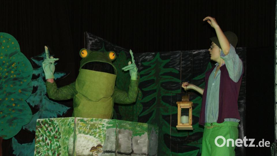 Eindrucksvoll agierten die Akteure des Amateurtheaters Marktredwitz beim Kinderstück „Räuber Hotzenplotz“. Bild: fpdh