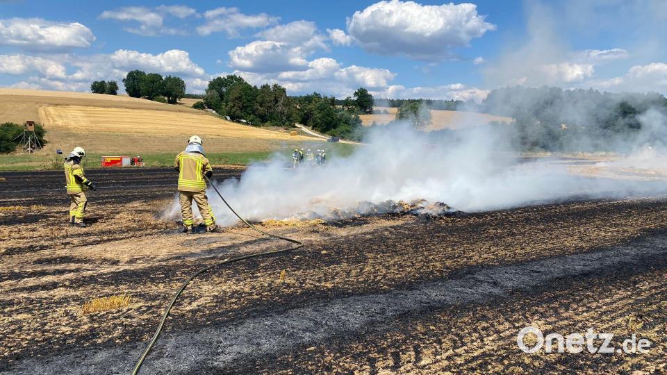 Die Einsatzkräfte haben verhindert, dass der Brand auf den Wald überschlägt. Bild: Thomas Appelt
