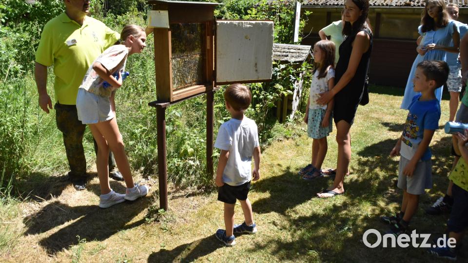 Bienenzuchtvereins- Chef Alexander Ederle erklärte das Leben der Bienen. Bild: hcz
