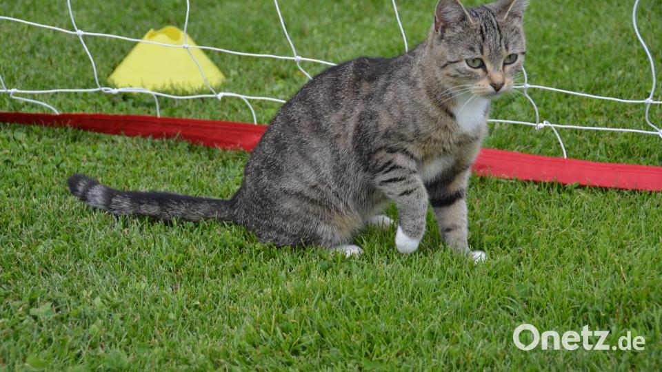 Zu welcher Station strolche ich als nächstes. Bild: dob