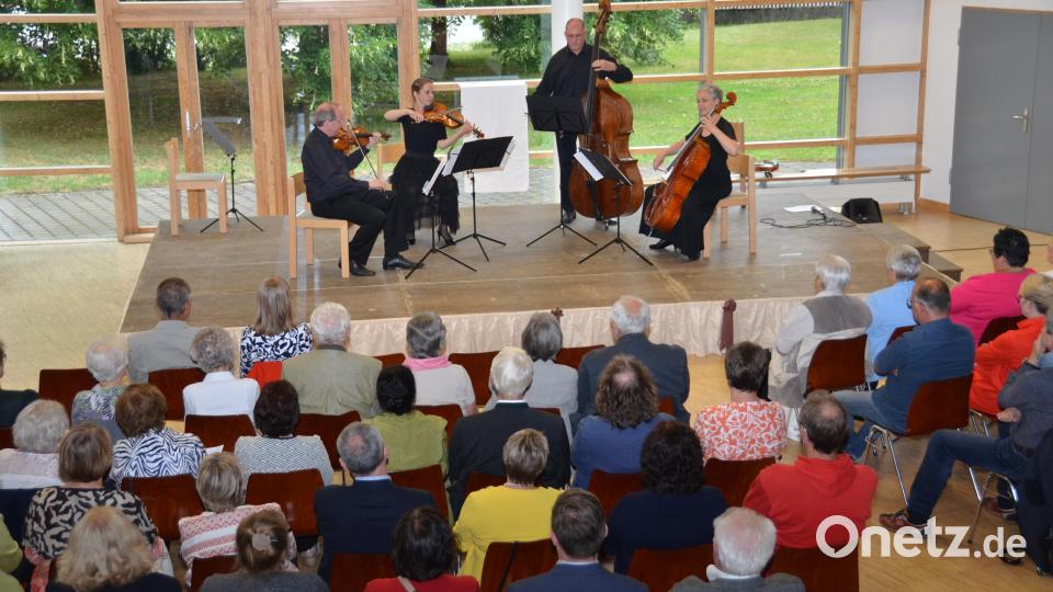 Das Arte Ensemble beschenkt am Samstagabend rund 130 Zuhörer beim Rathauskonzert, das wegen der anhaltenden Pandemie in die Aula der Realschule verlegt worden war, mit wundervollen Darbietungen. Bild: dob