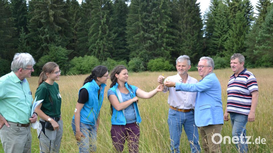 Bei der Besichtigung der Streuobst-, Blüh- und Feuchtwiesen waren (von links) Behördenleiter Wolfgang Wenisch, FÖJlerin Charlotte Förster, Susanne Pätz, Biodiversitätsbeauftragte Cornelia Straubinger, Wildlebensraumberater Johann Schmidkonz, stellvertretender Landrat Toni Dutz und Grundstücksbesitzer Albert Bauer dabei. Bild: Jennifer Bergmann