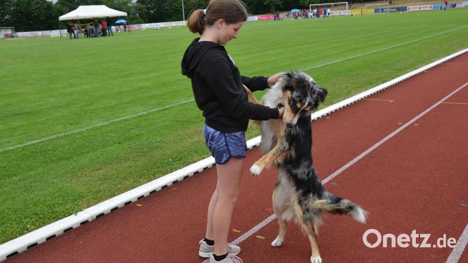 Nele hatte ihren Mailo mit zum Spielefest der SpVgg gebracht, der sie immer wieder voller Freude ansprang, denn auch er wollte beschäftigt werden. Bild: dob