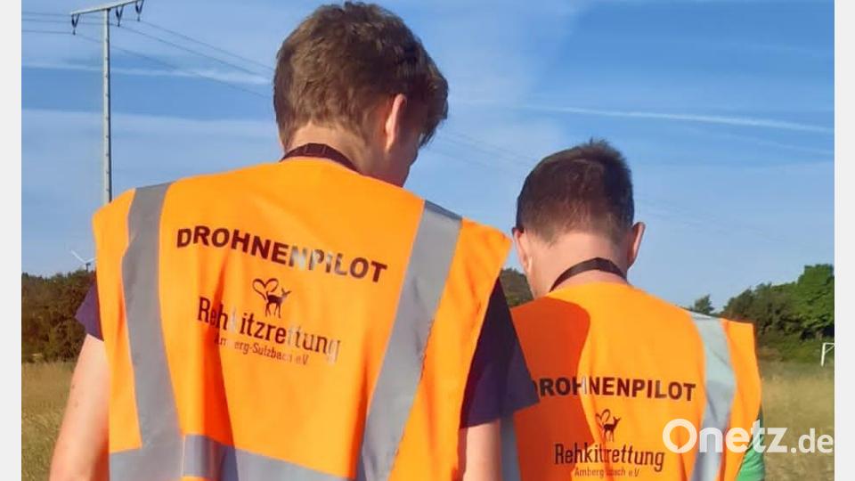 Arbeit der Rehkitzrettung. Bild: lei