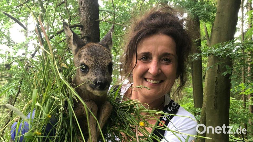 Arbeit der Rehkitzrettung. Bild: lei