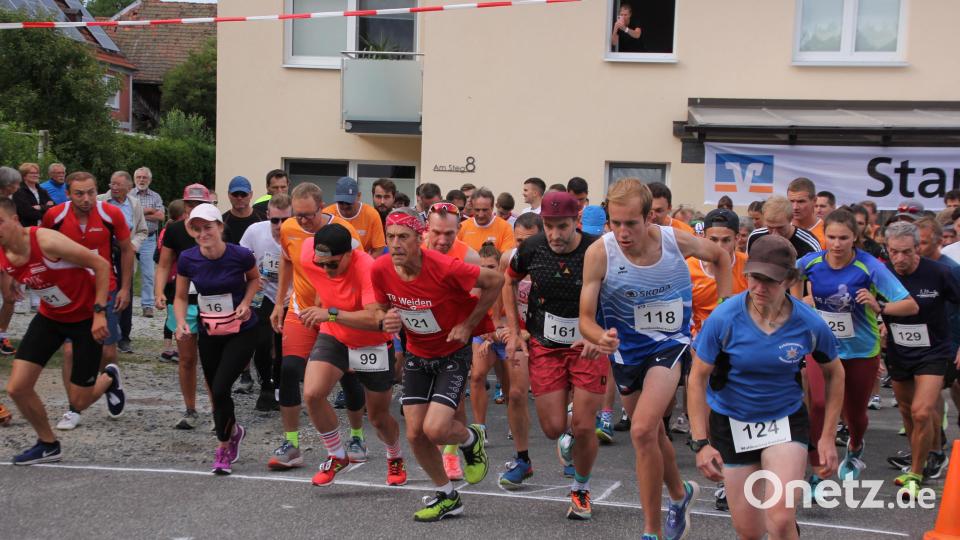 Start des Hauptlaufs über 8200 Meter beim 23. Waldnaabtal-Crosslauf der DJK Falkenberg. Bild: kro