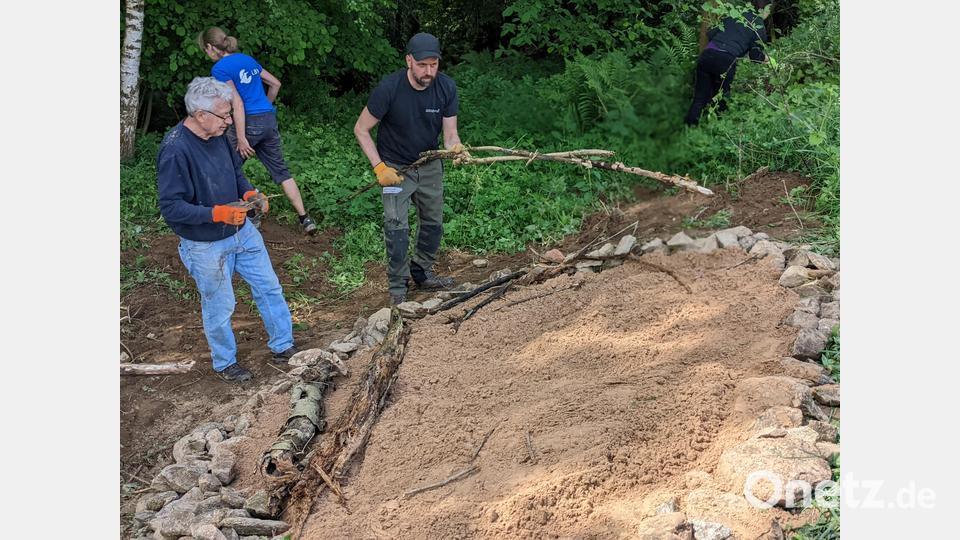 Mit Totholz und Feldsteinen umrahmt ist das Sandarium als neue Wohlfühloase für Wildbienen. Bild: exb/Verena Bauer