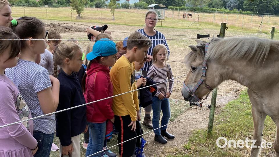 Die Zweitklässler besuchten in der Projektwoche den Reitverein Tirschenreuth. Sandra Dietl berichtet über Futter der Pferde und die Pferdehaltung Bild: Martina Reichl/exb