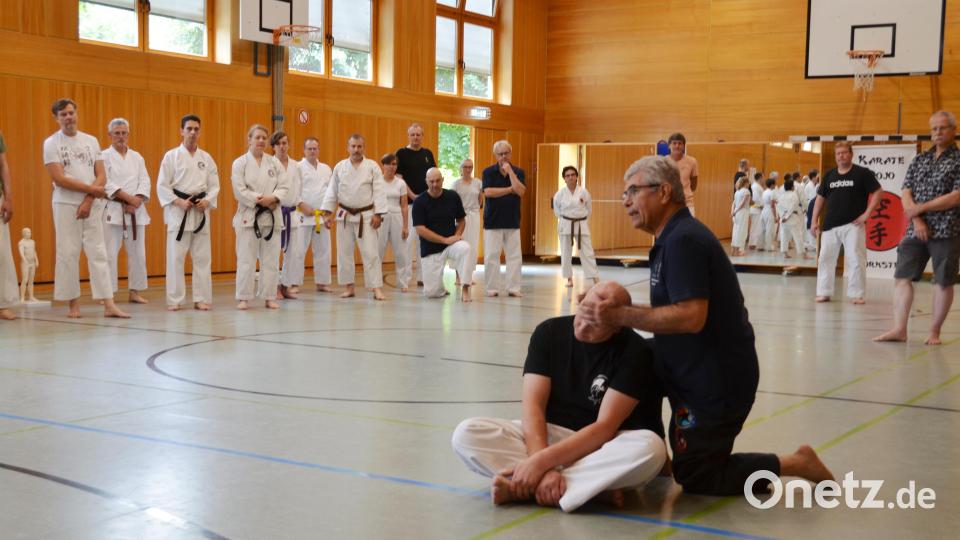 Gerade versierte Kampfkünstler sollten in Notfallsituationen auch helfen können. Auch das übten die gut 50 Teilnehmer unter Anleitung eines ganz besonderen Trainers. Bild: dob