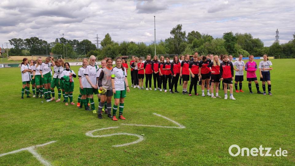 Die teilnehmenden U 17 Mannschaften (von links): TSV Neudorf, FFC Hof und SV Altransberg. Bild: hme