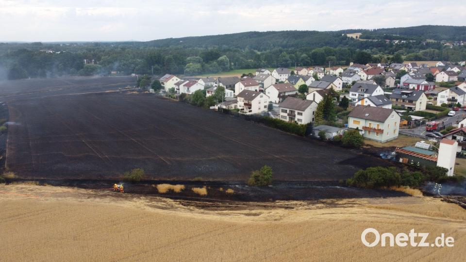 Auf rund drei Hektar sind Wiesen und Felder nach einem Brand am Ortsrand von Etzenricht verkohlt. Bild: Gustl Beer