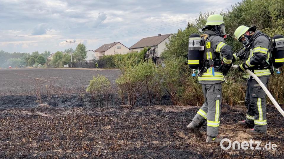 Auf rund drei Hektar sind Wiesen und Felder nach einem Brand am Ortsrand von Etzenricht verkohlt. Bild: Gustl Beer