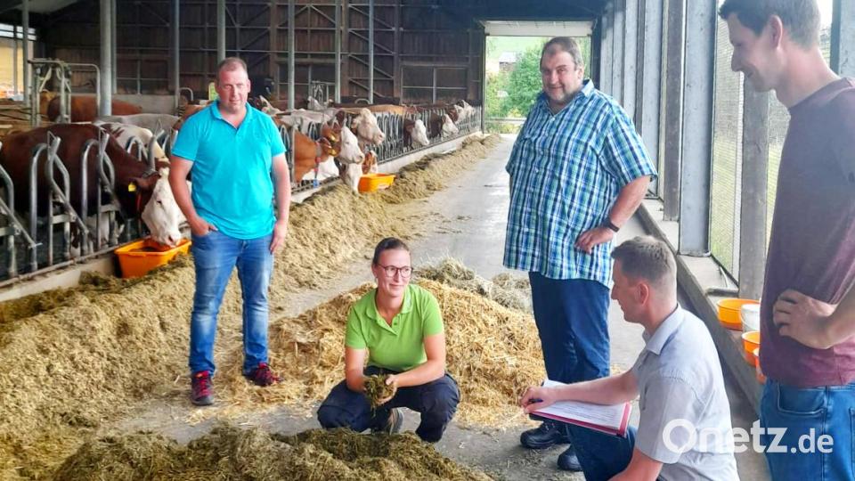 (von links) Hofinhaber Martin Fütterer mit Prüfling Franziska Käs und den Prüfern Richard Kellner, Gerhard Schwarz und Johannes Zintl. Bild: njn