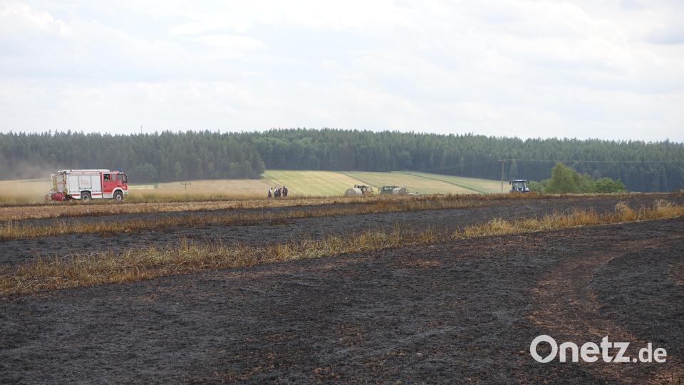 Die abgebrannte Feldfläche, im Hintergrund eines der Einsatzfahrzeuge. Bild: Feuerwehr Waldsassen/exb