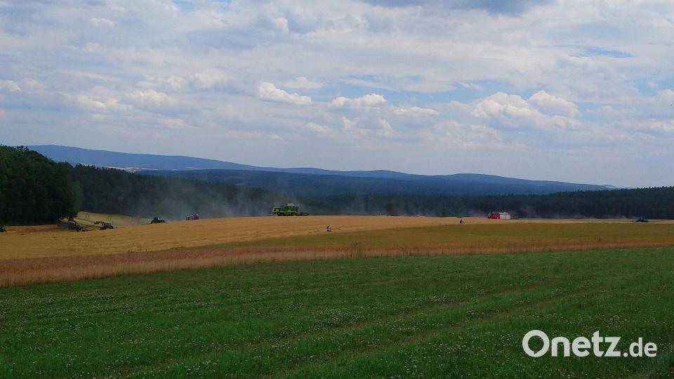 Ein Großaufgebot an Einsatzkräften war am Donnerstag bei einem Flächenbrand in Münchenreuth vor Ort. Bild: Siegfried Rosner/exb