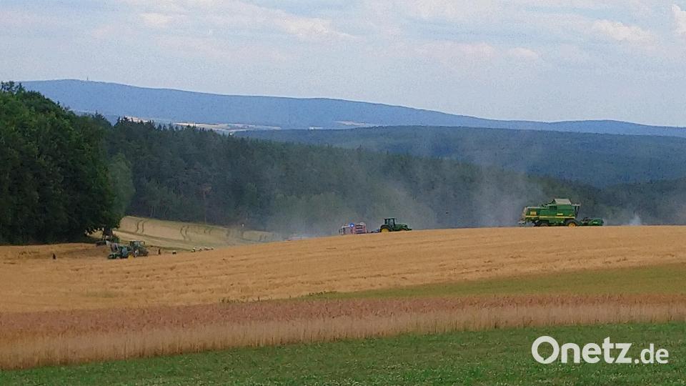 Ein Großaufgebot an Einsatzkräften war am Donnerstag bei einem Flächenbrand in der Nähe von Münchenreuth vor Ort. Bild: Sabine Windisch/exb