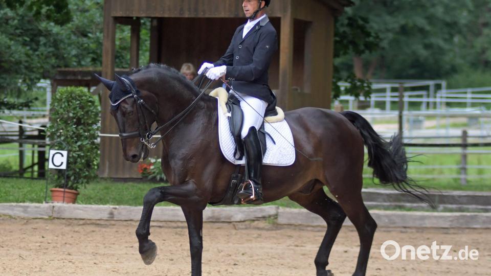 Michal Ryndak auf "Fernando" siegte bei der Dressurprüfung Kl. M* . Bild: otr