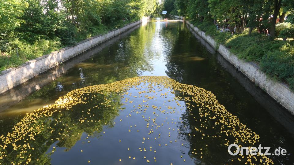 5800 Rennenten auf dem Weg zum Ziel. Bild: Kunz