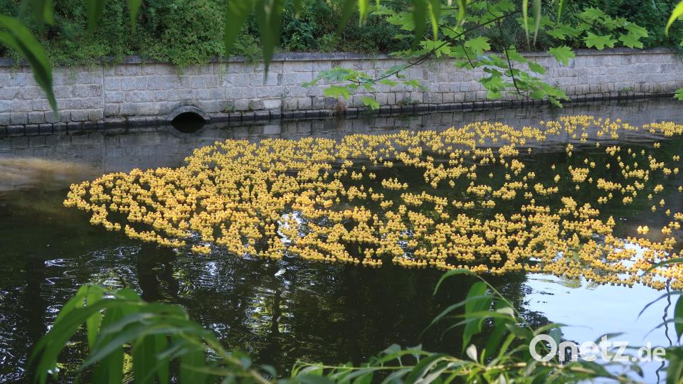 5800 Rennenten auf dem Weg ins Ziel. Bild: Kunz
