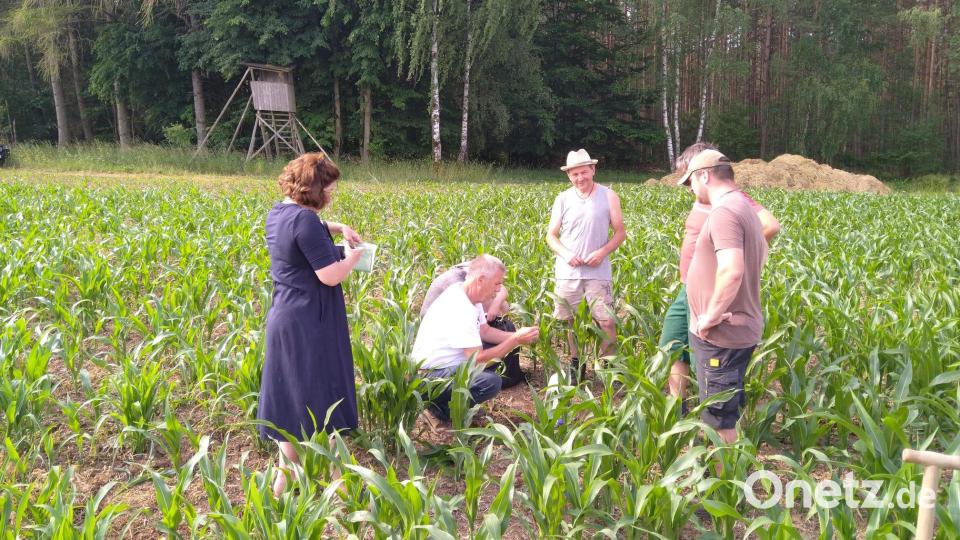 Der Maschinenring Tirschenreuth empfing die Ökologische Wissensakademie (ÖWA) aus Hamburg. Die Delegation besichtigte Mitgliedsbetriebe im Raum Tirschenreuth, die bereits die &quot;regenerative Landwirtschaft&quot; leben. Bild: Carolin Schrembs/exb