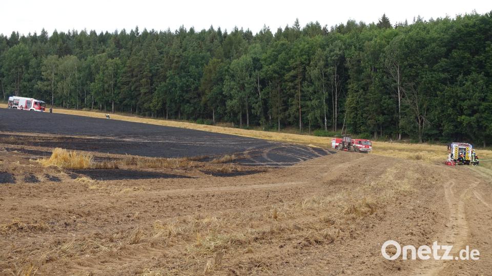 Kurz vor dem Übergreifen auf einen Wald stoppten Helfer mit vereinten Kräften vor wenigen Tagen bei Münchenreuth einen Feldbrand. Bild: Feuerwehr Waldsassen/exb