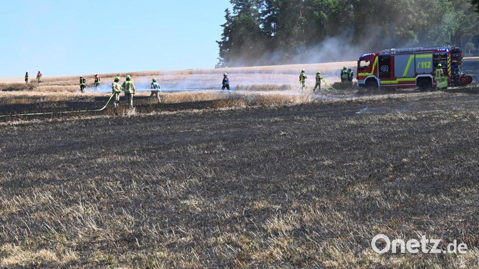 Bei Poppenricht brannte am Dienstagnachmittag ein Feld. Bild: gf