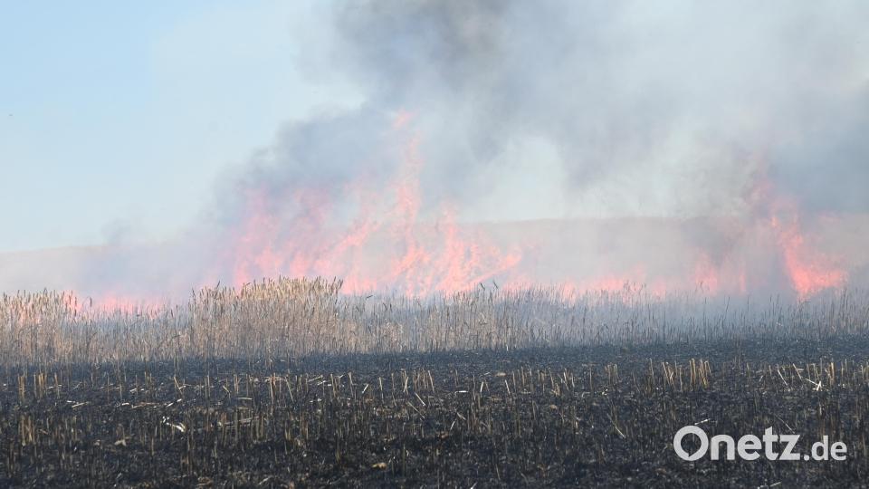 Bei Poppenricht brannte am Dienstagnachmittag ein Feld. Bild: gf