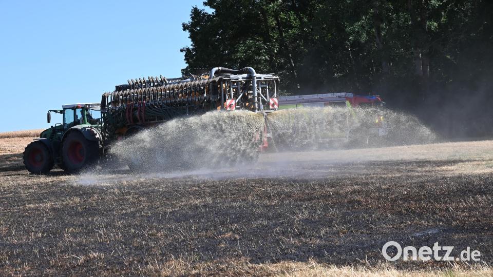 Bei Poppenricht brannte am Dienstagnachmittag ein Feld. Bild: gf