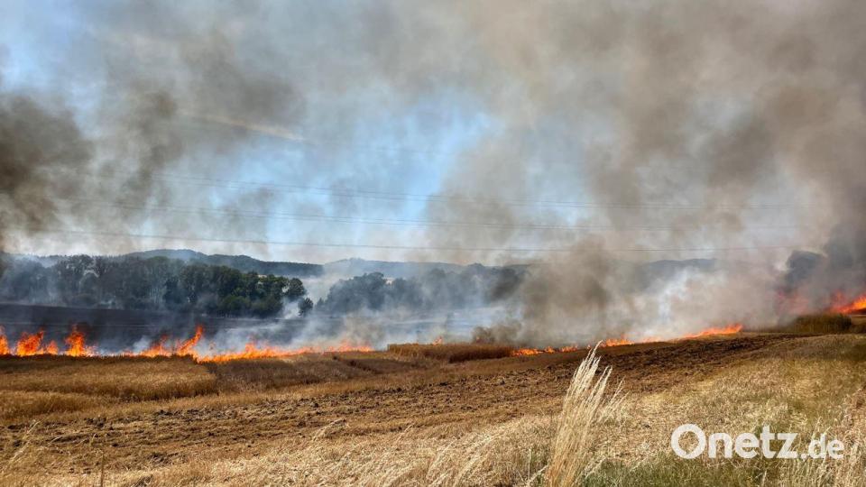 Das Feuer wütete auf Ackerflächen zwischen Edelsfeld und Niederärndt. Bild: lei