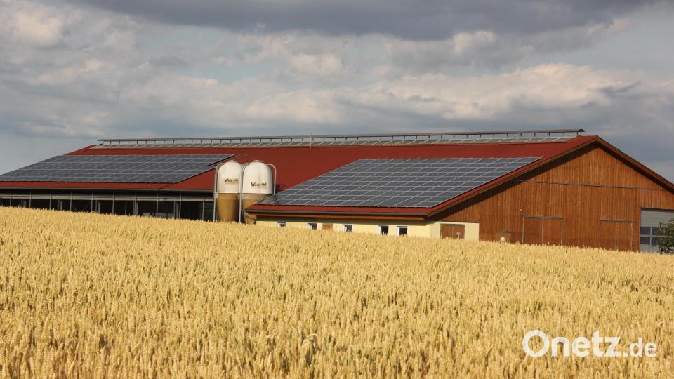 Diese Photovoltaikanlage in Konnersreuth, aufgebaut auf einer Stallung, ist Eigentum der Bürgerenergiegenossenschaft &quot;TIR Energie&quot;. Bild: kro