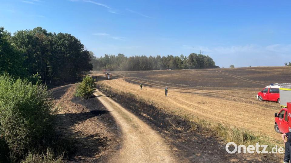 Auch Waldflächen wurden in Mitleidenschaft gezogen. Bild: lei