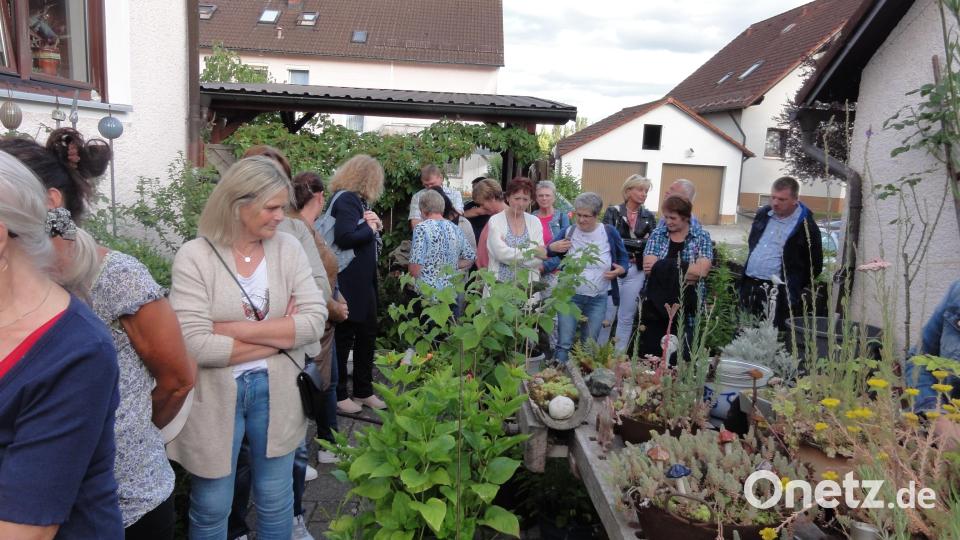 Von der Straße her nicht sonderlich auffällig, verbirgt sich im Garten der Familie Friedrich ein wahres Paradies. Die Gartenbesitzer Irene und Herbert Friedrich führten die begeisterten Gäste aus dem Klosterdorf durch ihr grünes Wohnzimmer. Bild: jhö