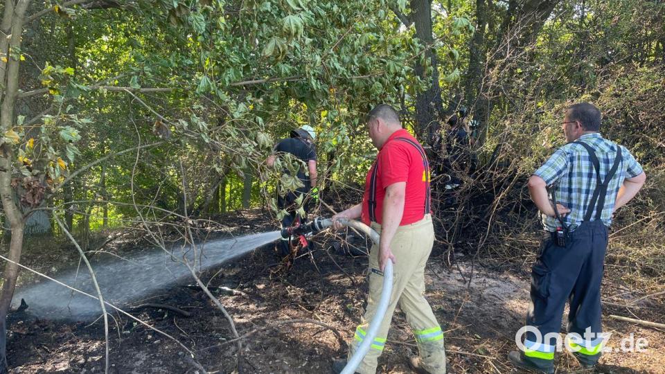 Auch Waldflächen wurden in Mitleidenschaft gezogen. Bild: lei
