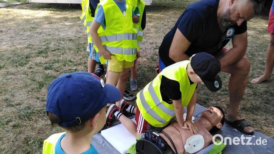 Herzdruckmassage? Bei guter Anleitung auch für Kinder machbar, Das zeigt sich bei einem Besuch der Buben und Mädchen aus dem Waldkindergarten an der Wasserwachthütte am Rußweiher. Bild: myd