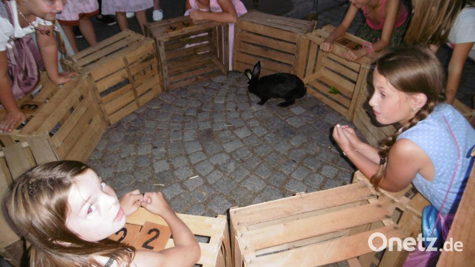 Spannung herrschte bei den Hasenwetten. Bild: mma