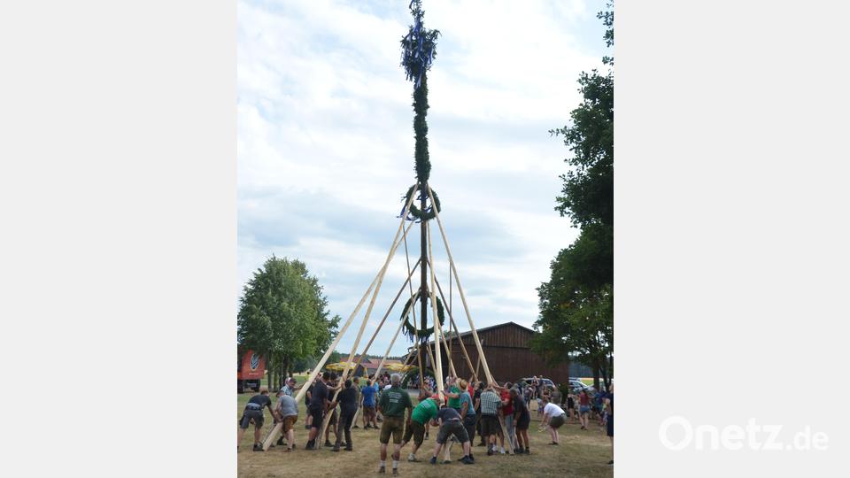 Mit vereinten Kräften stand der Kirwabaum nach gut eineinhalb Stunden als Wahrzeichen der Kirchweih am Sportplatz in Högling. Bild: nib