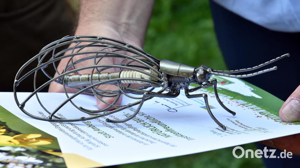 So sieht die Florfliege aus Metall aus, die Amberg als Auszeichnung behalten darf. Bild: Stephan Huber