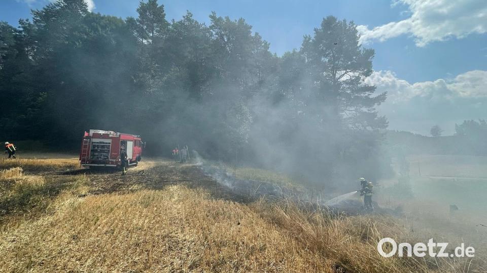Feuerwehrleute löschen am Dienstagnachmittag, 26. Juli, einen Brand bei Ratzenhof (Gemeinde Hirschbach). Bild: lei