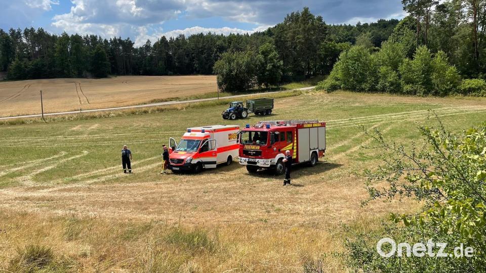 Feuerwehrleute löschen am Dienstagnachmittag, 26. Juli, einen Brand bei Ratzenhof (Gemeinde Hirschbach). Bild: lei