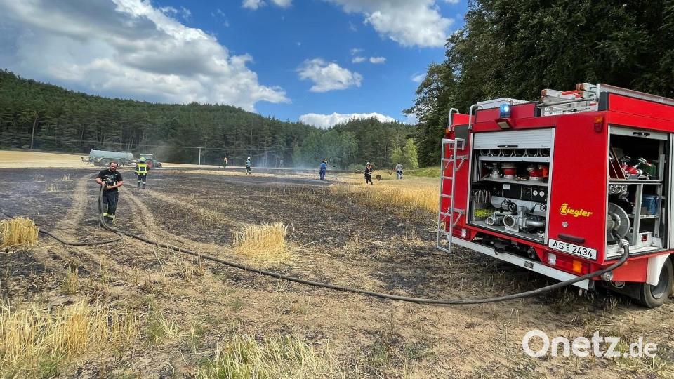 Feuerwehrleute löschen am Dienstagnachmittag, 26. Juli, einen Brand bei Ratzenhof (Gemeinde Hirschbach). Bild: lei