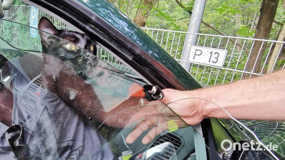 Weil das Auto schon älter war, konnte die Feuerwehr die Scheibe nach unten schieben. Bild: Feuerwehr Sinzing