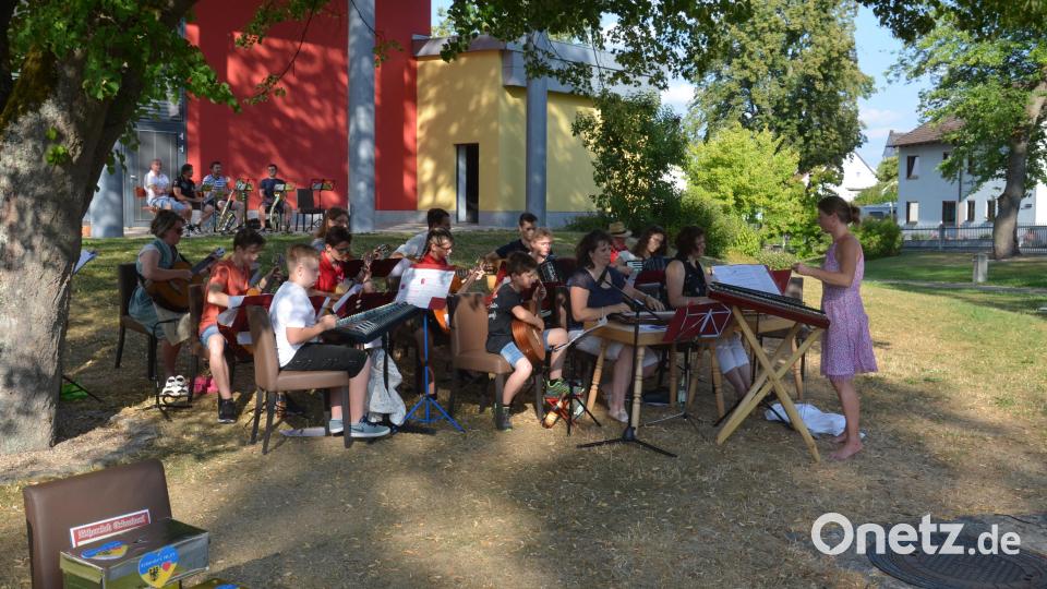 Der Zitherclub Erbendorf musiziert unter der Leitung von Dirigentin Veronika Hille (rechts) im Stadtpark und präsentiert ein kunterbuntes Repertoire. Bild: ban