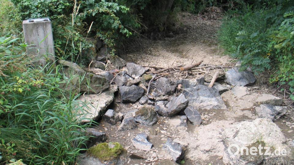 Das Bild zeigt den Flötzbach bei der Ableitung seines Wassers in das Naturschutzgebiet Heid- und Hirschbergweiher. Bild: bkr
